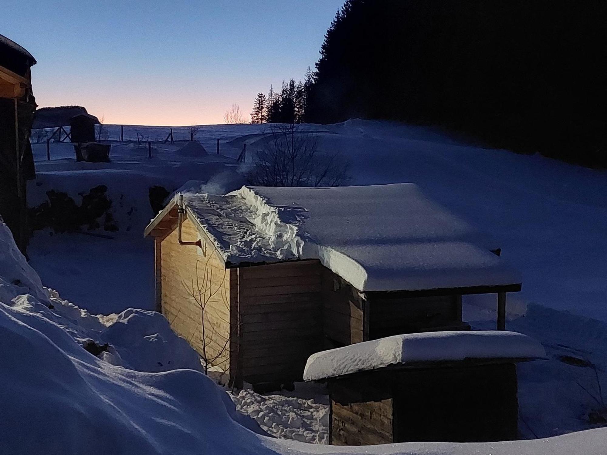 Petit Chalet Nature Les Rousses Eksteriør billede